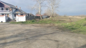 Teren zona Falastoaca (Comana) - imagine 3