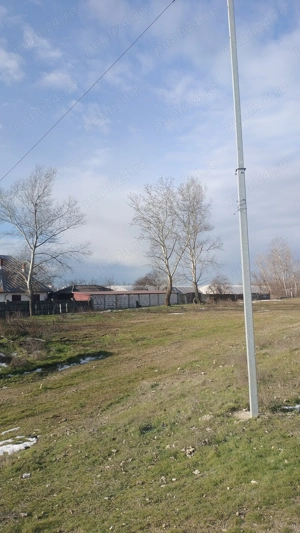 Teren zona Falastoaca (Comana) - imagine 4