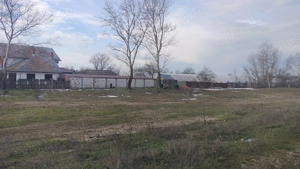 Teren zona Falastoaca (Comana) - imagine 5