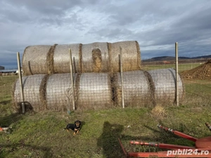 vand baolti rotunzi de paie