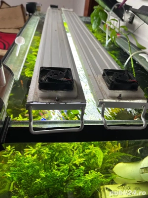 acvariu mare  - imagine 4