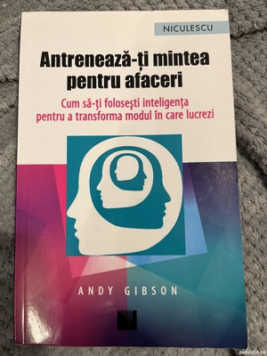 Antreneaza-ti mintea pentru afaceri. Cum sa-ti folosesti inteligenta pentru a transforma modul in ca