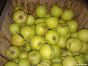 Vand mere golden en gros - imagine 2