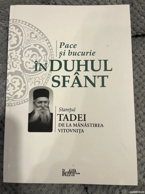 Pace şi bucurie  n Duhul Sfânt - Tadei