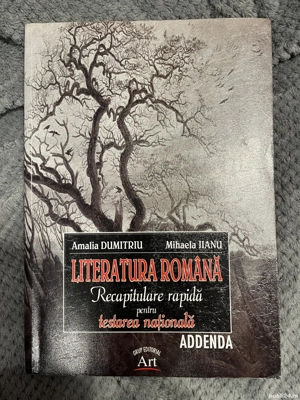 Literatura rom nă   recapitulare rapidă pentru testarea natională - Amalia Dumitriu, Mihaela Jianu