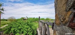 conac si 127800 mp teren intravilan curti-constructii 