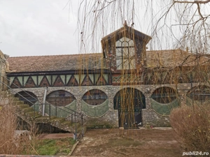 Ansamblu exceptional 12,8 ha intravilan curti-constructii: Conac baroc + construcții industriale. - imagine 5