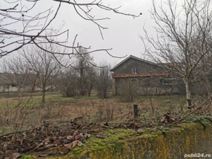 Ansamblu exceptional 12,8 ha intravilan curti-constructii: Conac baroc + construcții industriale. - imagine 4