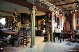 Ansamblu exceptional 12,8 ha intravilan curti-constructii: Conac baroc + construcții industriale. - imagine 3