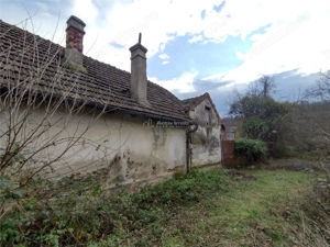 Bogodint, Casa cu 4 Hectare Teren, Pret Negociabil - imagine 4