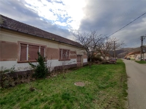 Bogodint, Casa cu 4 Hectare Teren, Pret Negociabil - imagine 3