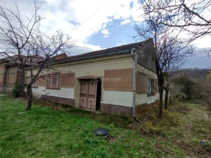 Bogodint, Casa cu 4 Hectare Teren, Pret Negociabil - imagine 2