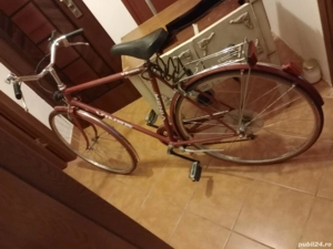 bicicleta adulti,