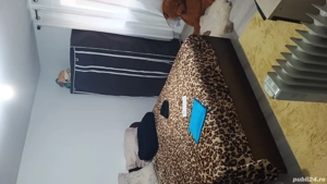 Vînd casă la intrarea Smeura  - imagine 7