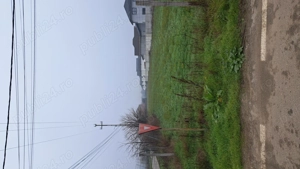 Vand teren 5000mp intravilan, Preajba,  jud Dolj  - imagine 5