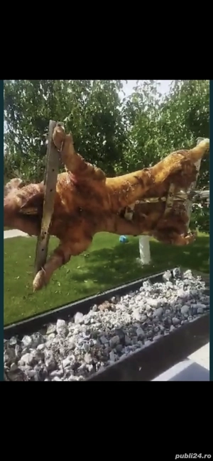 Proțap electric de închiriat 