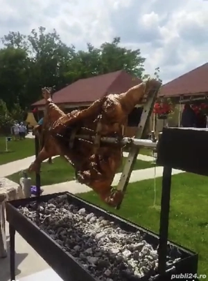 Proțap electric de închiriat 