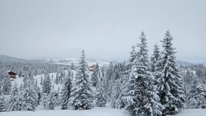   Relax la munte,zona Belis,2 persoane,pret locatie,mic dejun inclus,masaje profesionale la cerere. - imagine 4