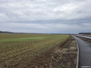 Teren intravilan lipit de padurea Scroviștea 16600 mp Peris langa Snagov  - imagine 4