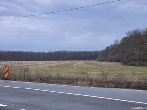 Teren intravilan lipit de padurea Scroviștea 16600 mp Peris langa Snagov  - imagine 5