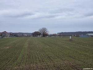 Teren Scrovistea 10000 mp , langa Snagov - imagine 4