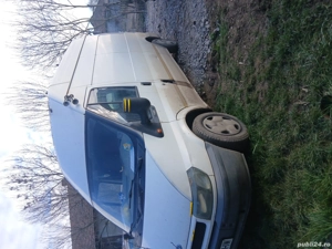 Vand duba Ford Transit SAU schimb cu animale - imagine 3