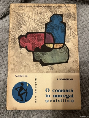 O comoară  n mucegai (penicilina) - I. Bordeianu