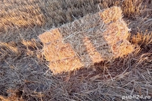 Baloti paie producție 2025