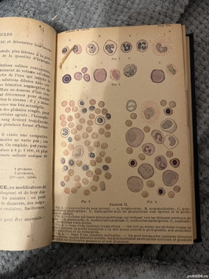 Precis d'analyse biologique clinique - Barral - Paris, 1931