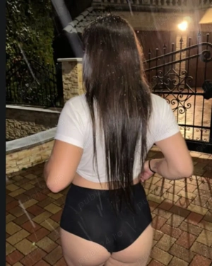 Trans servicii totale 