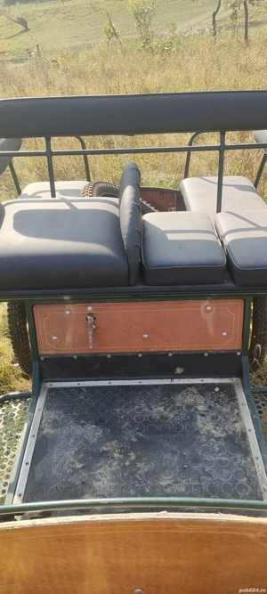 Caleașcă sport trăsură un cal sau doi cai - imagine 3