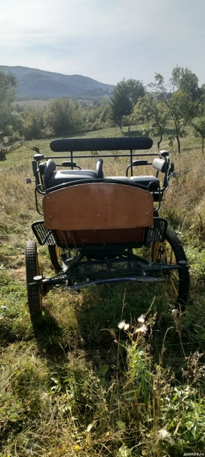 Caleașcă sport trăsură un cal sau doi cai - imagine 2