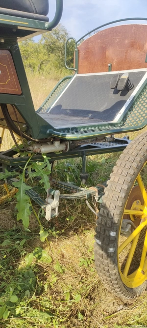 Caleașcă sport trăsură un cal sau doi cai - imagine 5