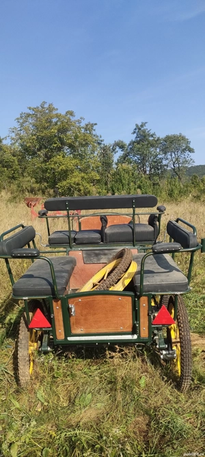 Caleașcă sport trăsură un cal sau doi cai - imagine 4