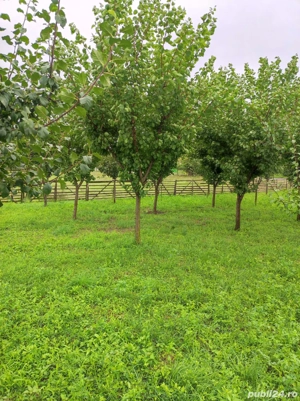 Vând două locuri de casă  - imagine 6