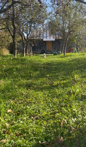 Vând casa cu mansarda și livada cu meri la poalele muntelui Leaota  - imagine 6