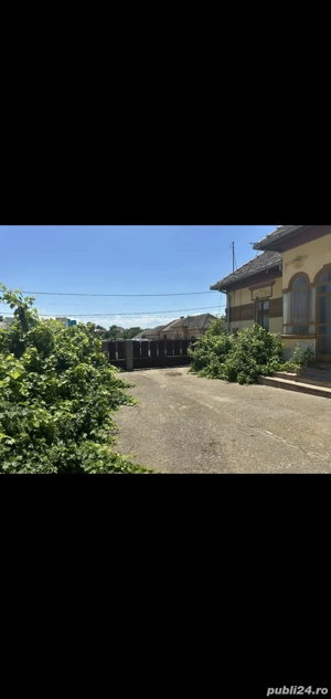 2 case de vânzare Poiana Mare 4400 metri pătrați - imagine 5