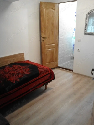 Giurgiului, CFR Progresul, 30 minute de Unirii cu STB 7 sau 116, in vila - imagine 5