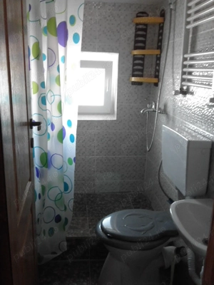 Giurgiului, CFR Progresul, 30 minute de Unirii cu STB 7 sau 116, in vila - imagine 9