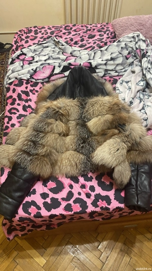 Blană de vulpe stătea este perfectă 