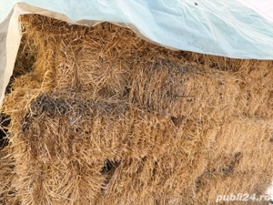 Vand Baloti de Paie - imagine 3