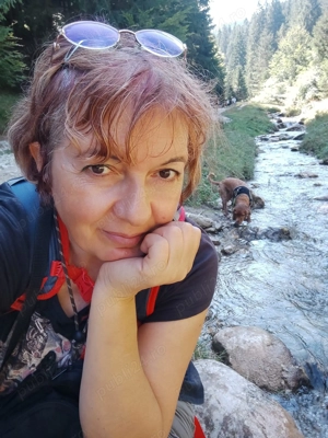 Pregătire limba  engleza