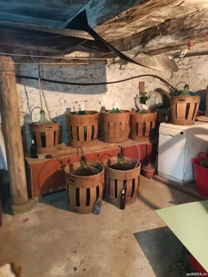 Închiriez Proprietate la Munte - imagine 9