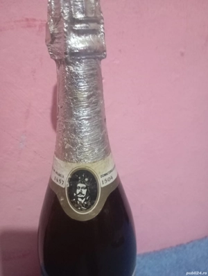 vand șampanie 