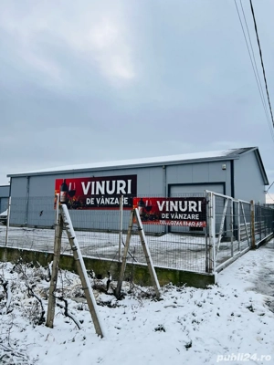 Vin natural de Vrancea Odobesti - imagine 3