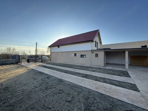 Casa Individuala Sanandrei,P+M,4 Camere,Terasa Acoperita,Teren Generos,Mobilata - imagine 7