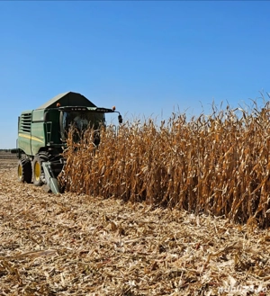 Combina John Deere W540