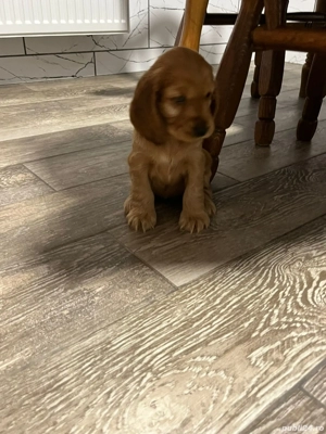 De vanzare (o fetita si un baetel) - imagine 2