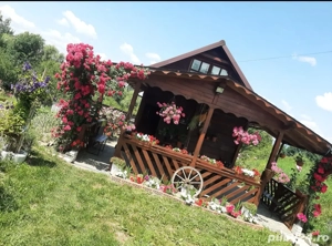 Casa și teren - imagine 7