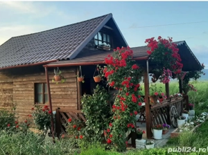 Casa și teren - imagine 3